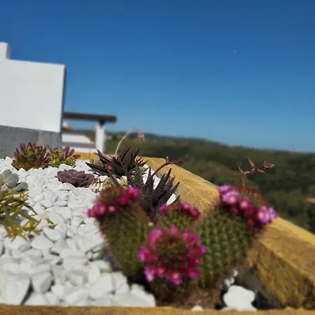 L'envoûtement Andalou, à La Cala De Mijas, Jacuzzi Privé Chauffé Apartamento